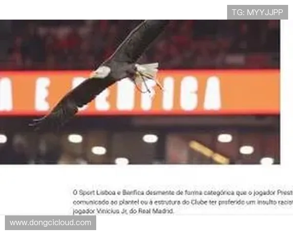 ✅体育直播🏆世界杯直播🏀NBA直播⚽- “永不落幕的北影节之2024雄安未来影像电影季”启动- sports